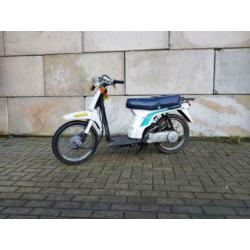 Leuke Honda Scoopy OT loopt goed