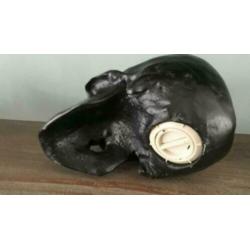 Skull spaarpot