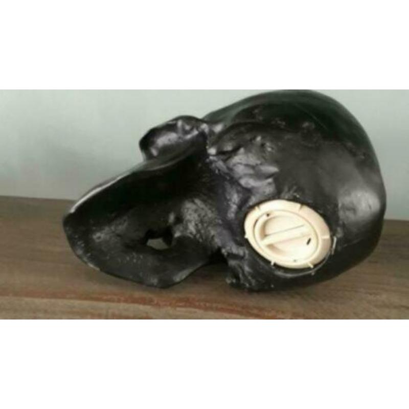 Skull spaarpot