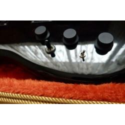 Lefty Hohner Ferari Professional