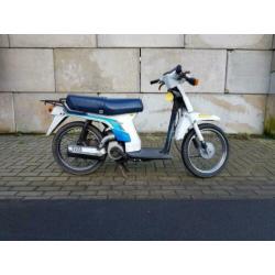 Leuke Honda Scoopy OT loopt goed