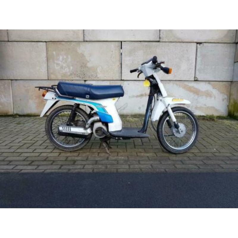 Leuke Honda Scoopy OT loopt goed