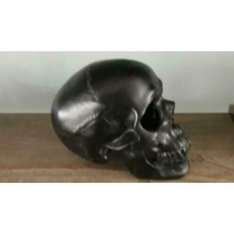 Skull spaarpot