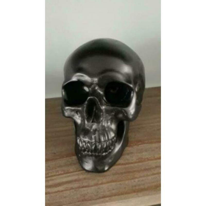 Skull spaarpot