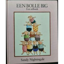 Een Bolle Big Telboek - Sandy Nightingale