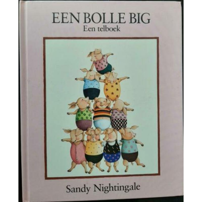 Een Bolle Big Telboek - Sandy Nightingale