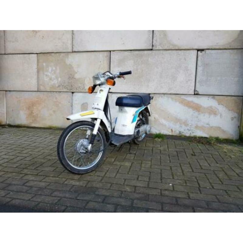 Leuke Honda Scoopy OT loopt goed