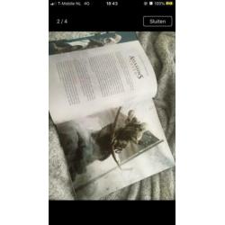 Assassins creed Comic The Chain