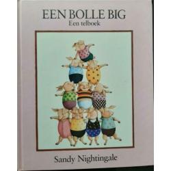 Een Bolle Big Telboek - Sandy Nightingale