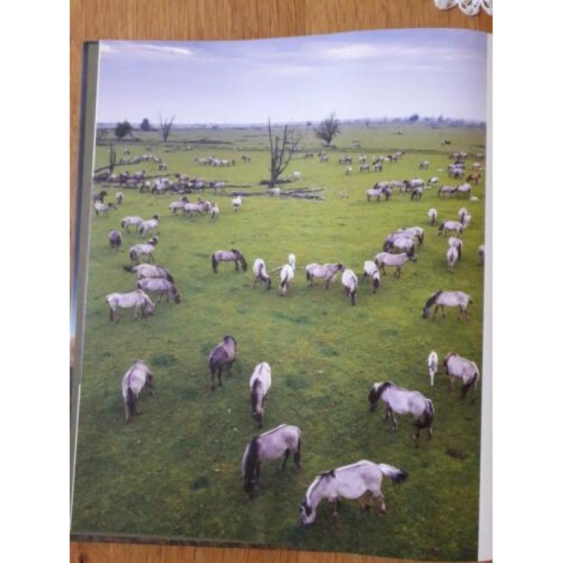 De nieuwe wildernis - Oostvaardersplassen