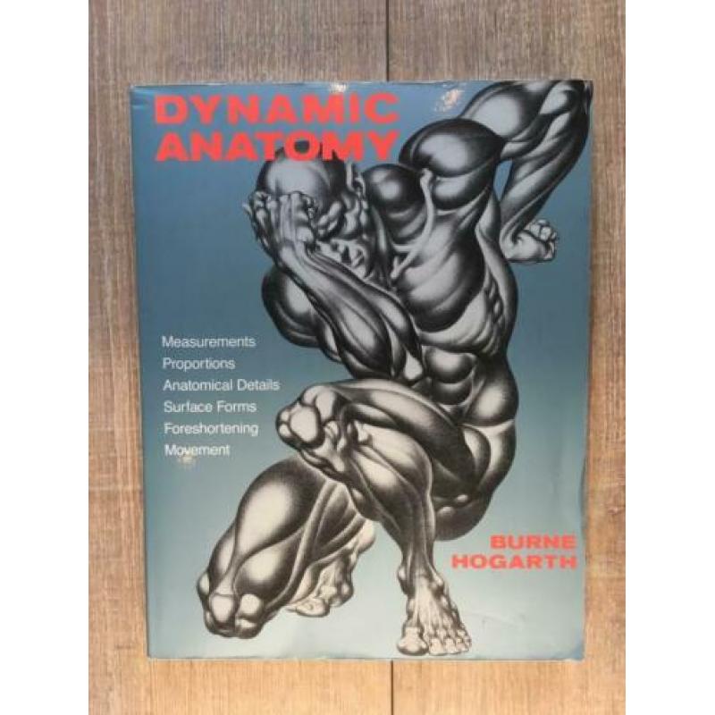 Dynamic anatomy