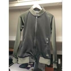 Harry’s horse, PK, Mondoni, Epplejeck,La Valencia, Kingsland