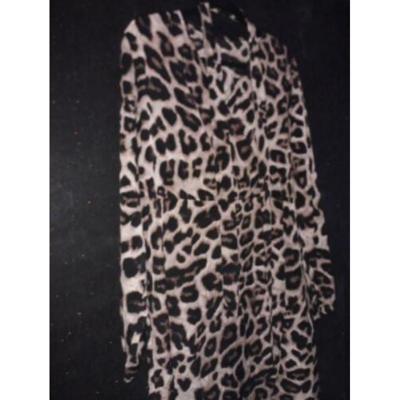 Leopard jurk xl