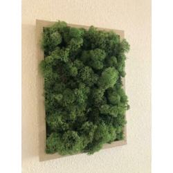 Mosschilderij 21x30cm