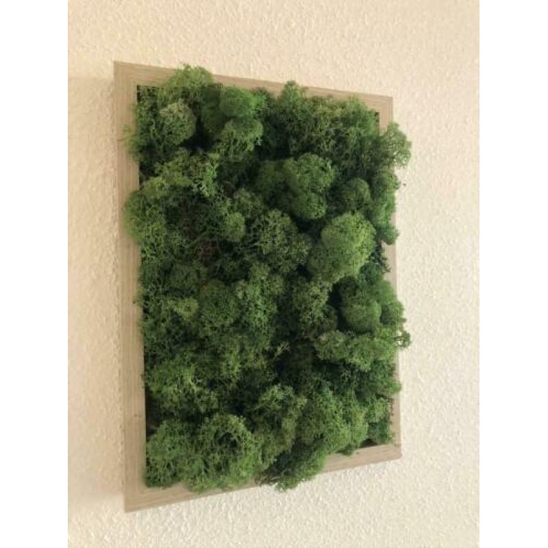 Mosschilderij 21x30cm