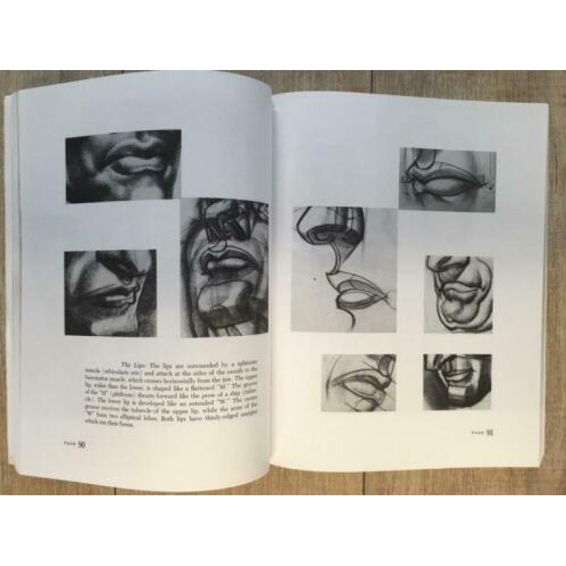 Dynamic anatomy
