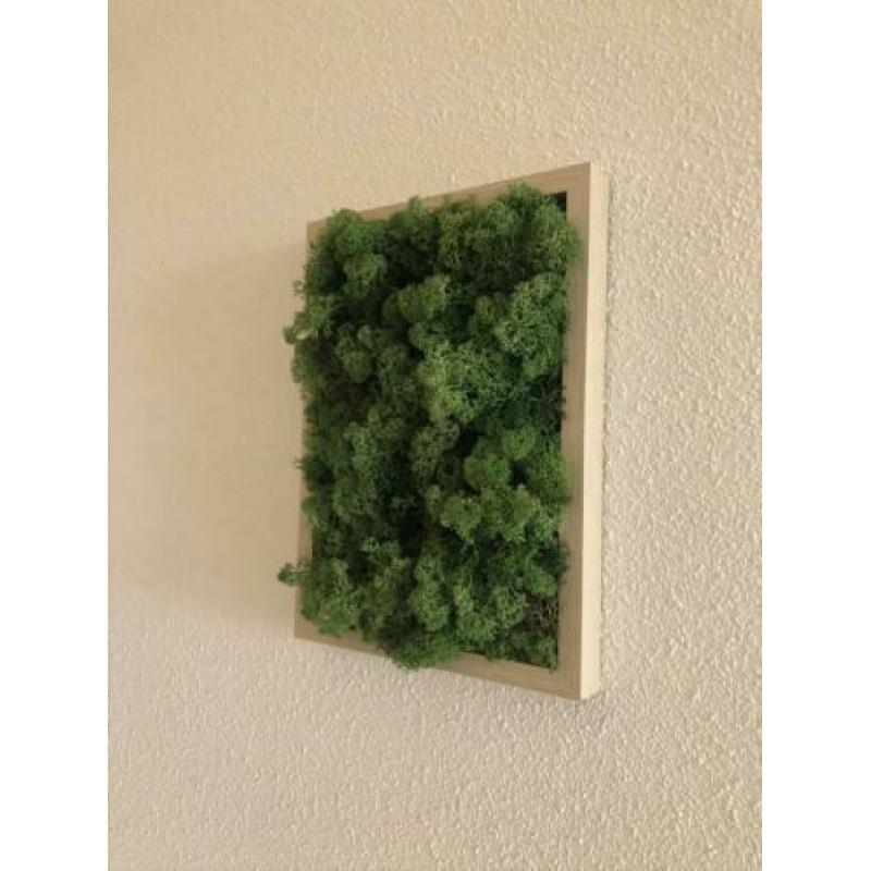 Mosschilderij 21x30cm