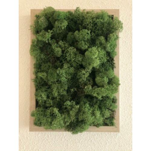 Mosschilderij 21x30cm