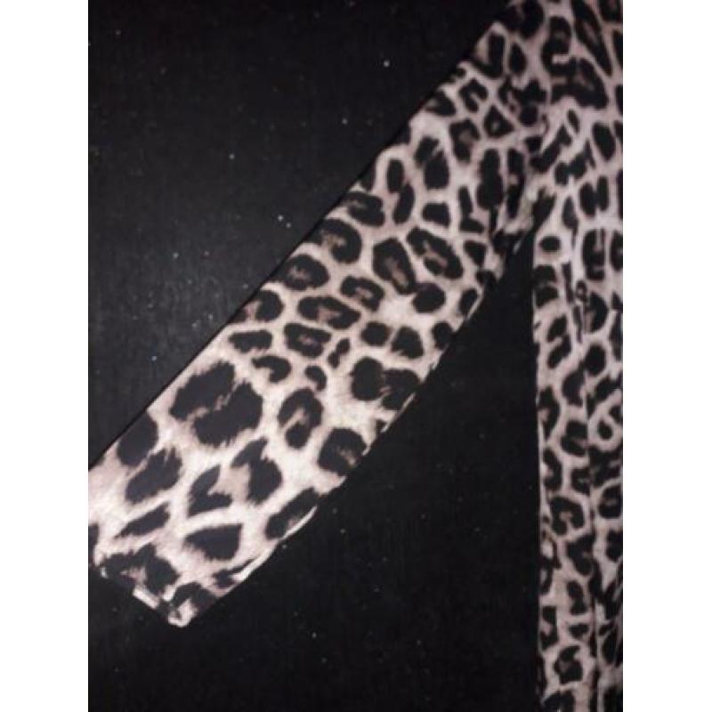 Leopard jurk xl