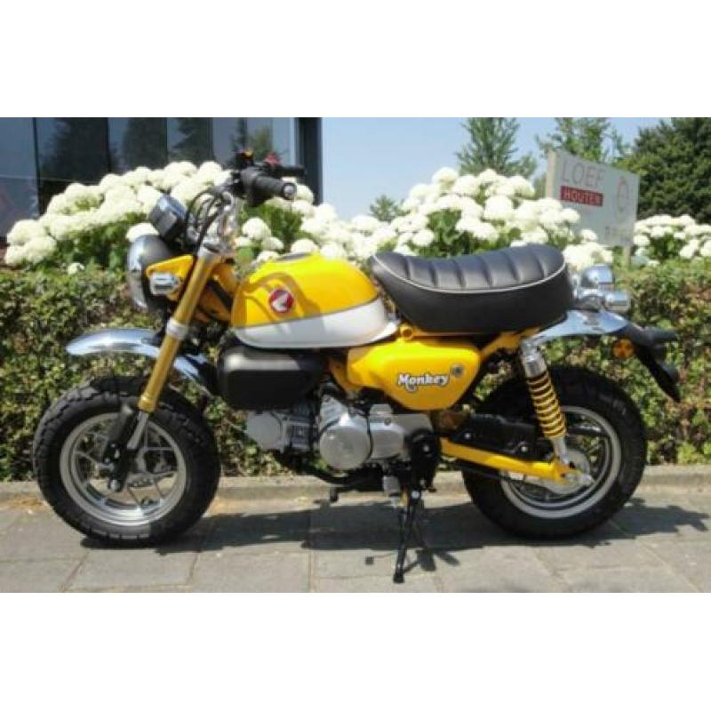 Honda Monkey NIEUW origineel in zwart rood of geel bij LOEF