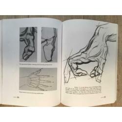 Dynamic anatomy