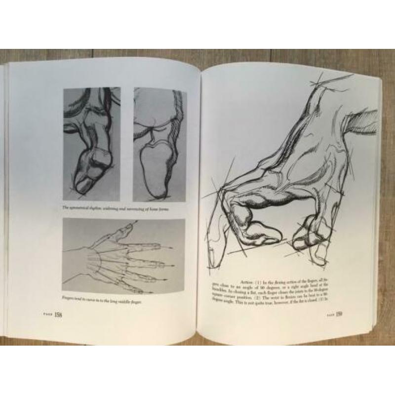 Dynamic anatomy