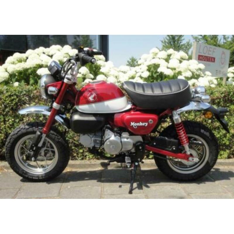Honda Monkey NIEUW origineel in zwart rood of geel bij LOEF