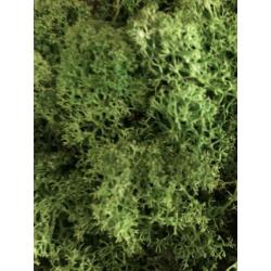 Mosschilderij 21x30cm