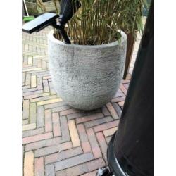 Twee grote grijze potten met bamboe.