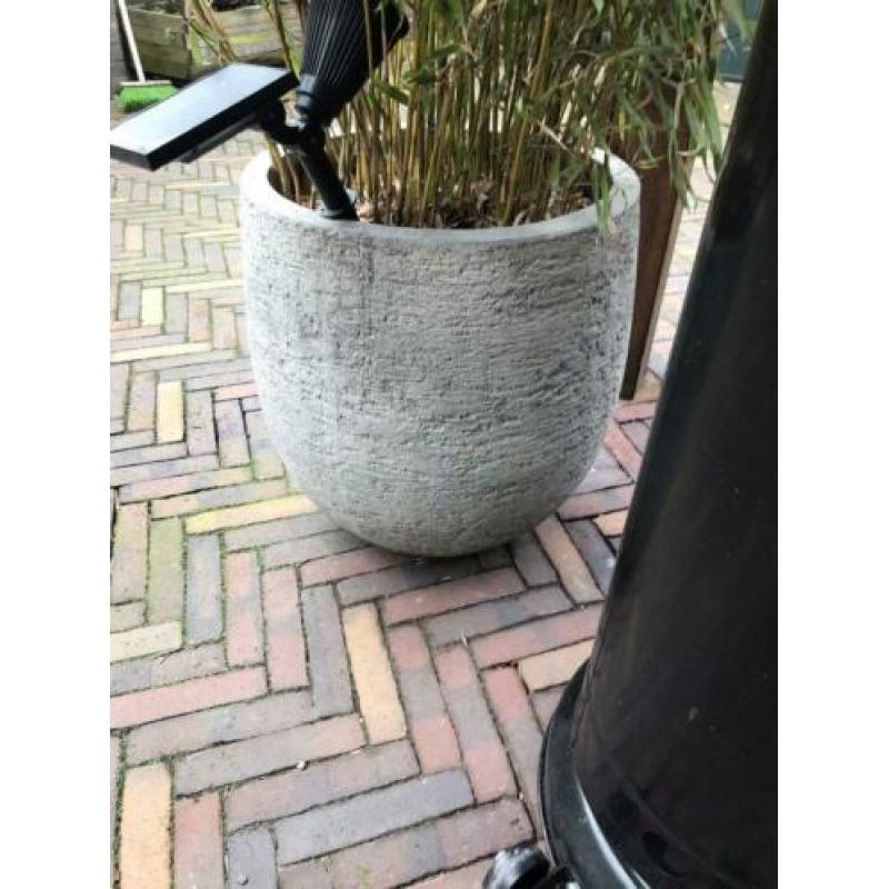 Twee grote grijze potten met bamboe.