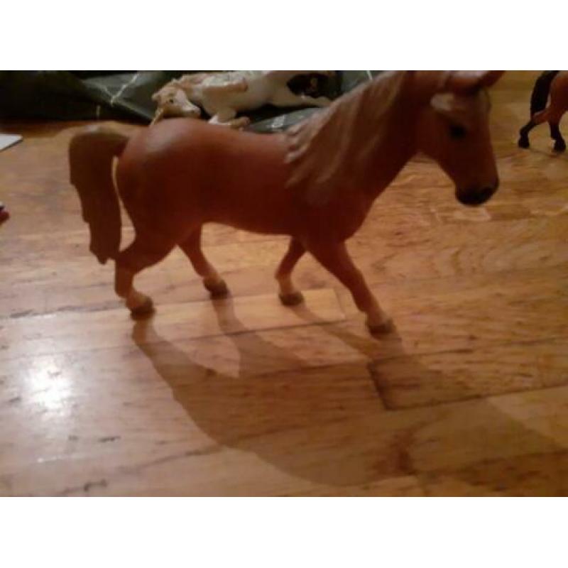 Schleich paarden