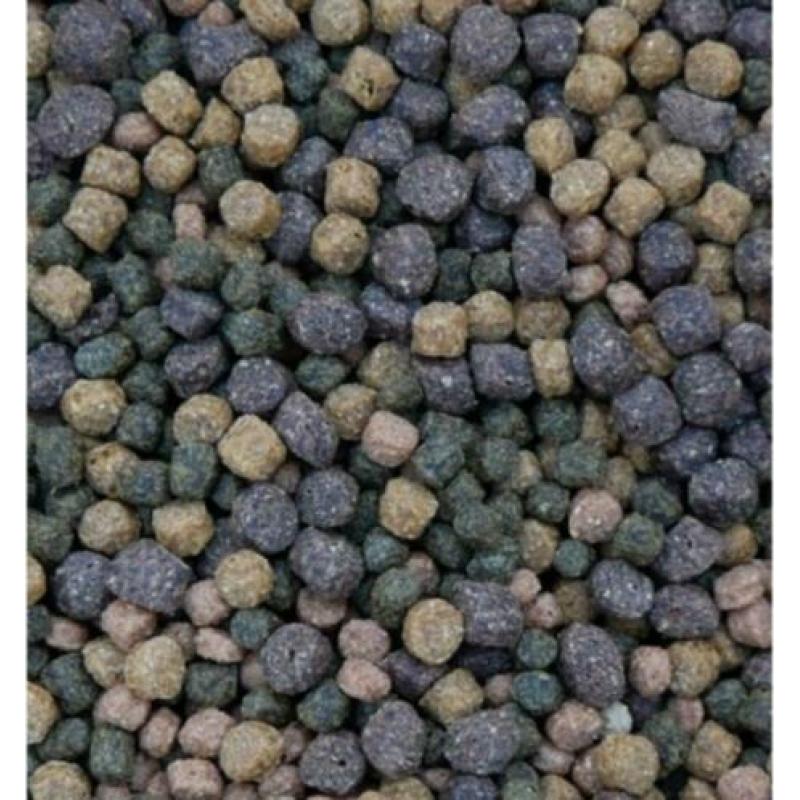 Shinju Zomer mix