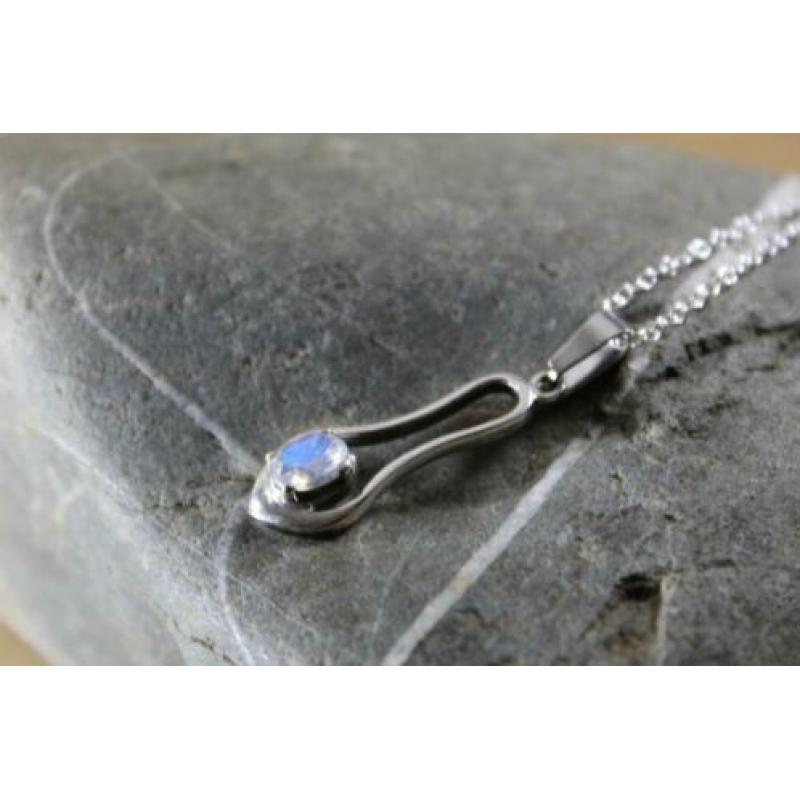 zilveren hanger met ketting , elegant