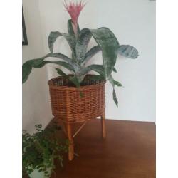 Rieten bloempot op pootjes
