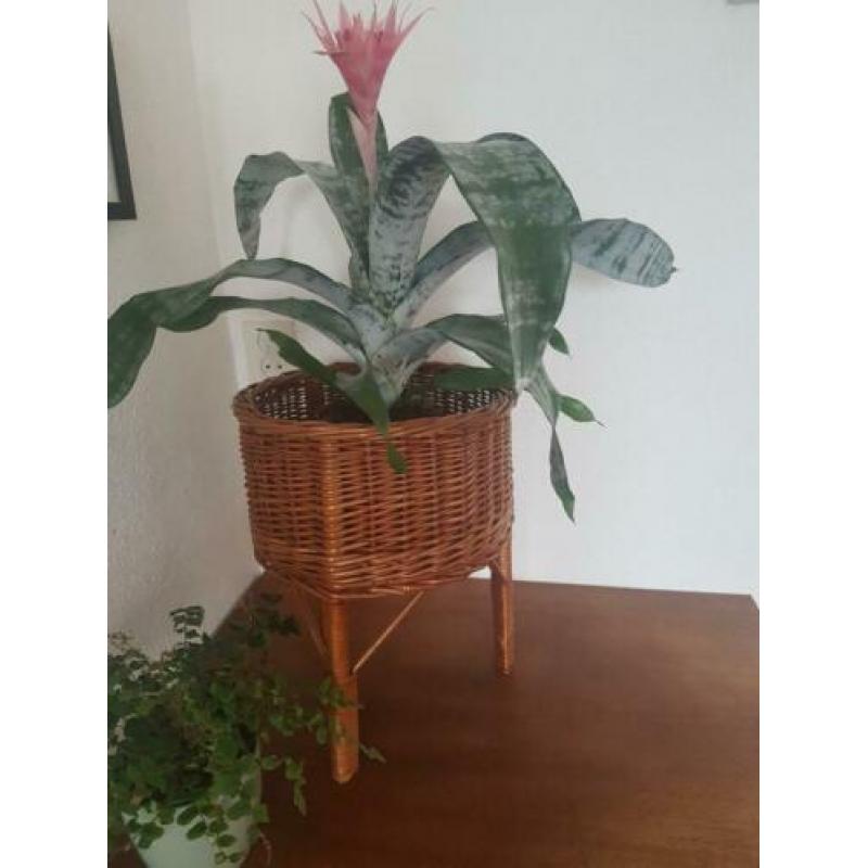 Rieten bloempot op pootjes