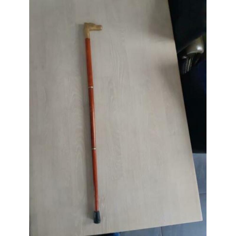 Wandelstok of wandelstokken