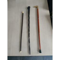 Wandelstok of wandelstokken