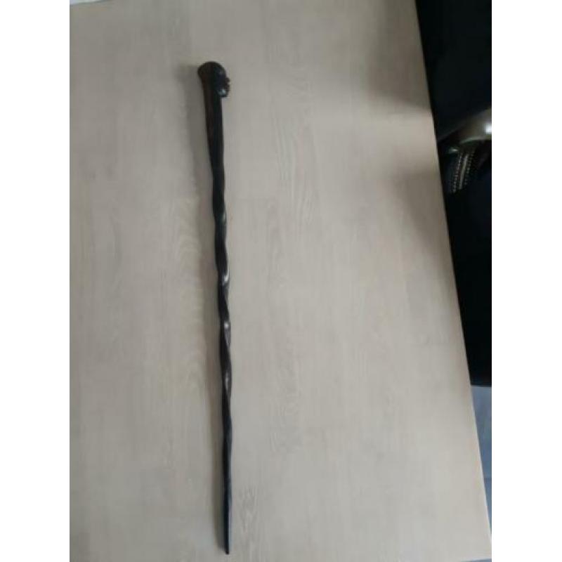 Wandelstok of wandelstokken