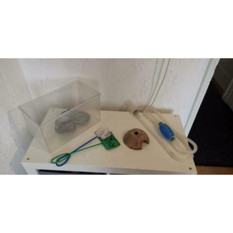Aquarium toebehoren (luchtpomp, filter, substrate, 30l bak)