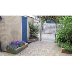 Te koop Het Woold 74 te Raalte