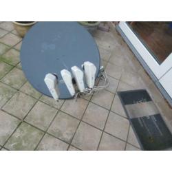 Te koop