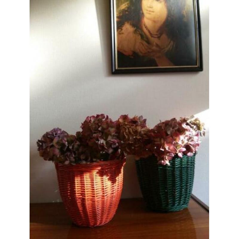 Groen en oranje rieten mandje retro bloempot