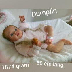 Reborn Dumplin