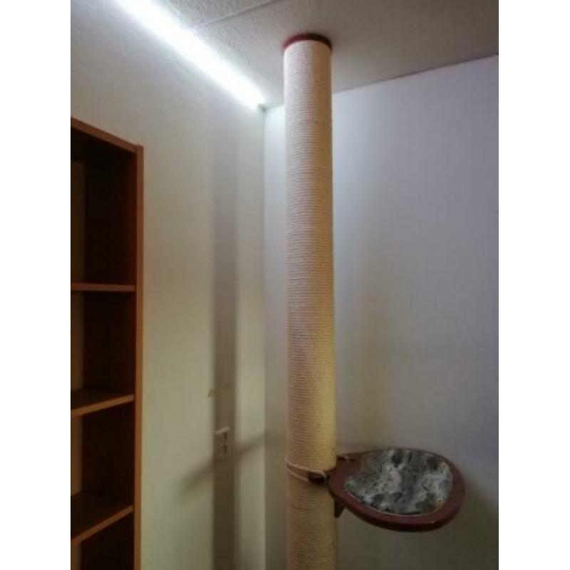 Katten klim/krabpaal tot aan plafond