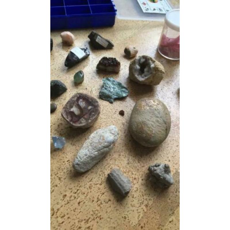 Verzameling mineralen, fossielen, edelstenen, schelpen,geode