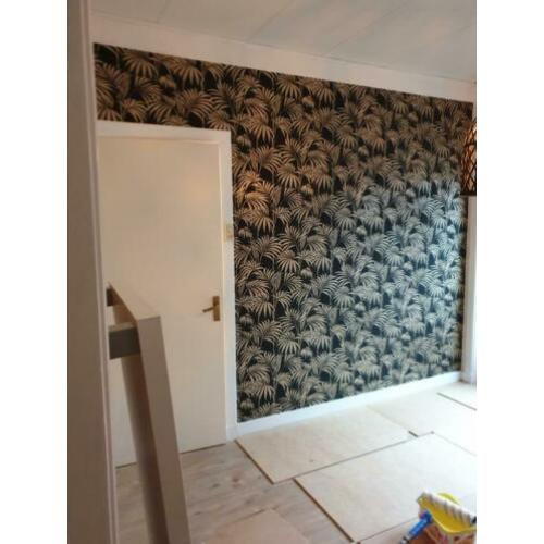 Behanger door heel NL/ renovlies behanger