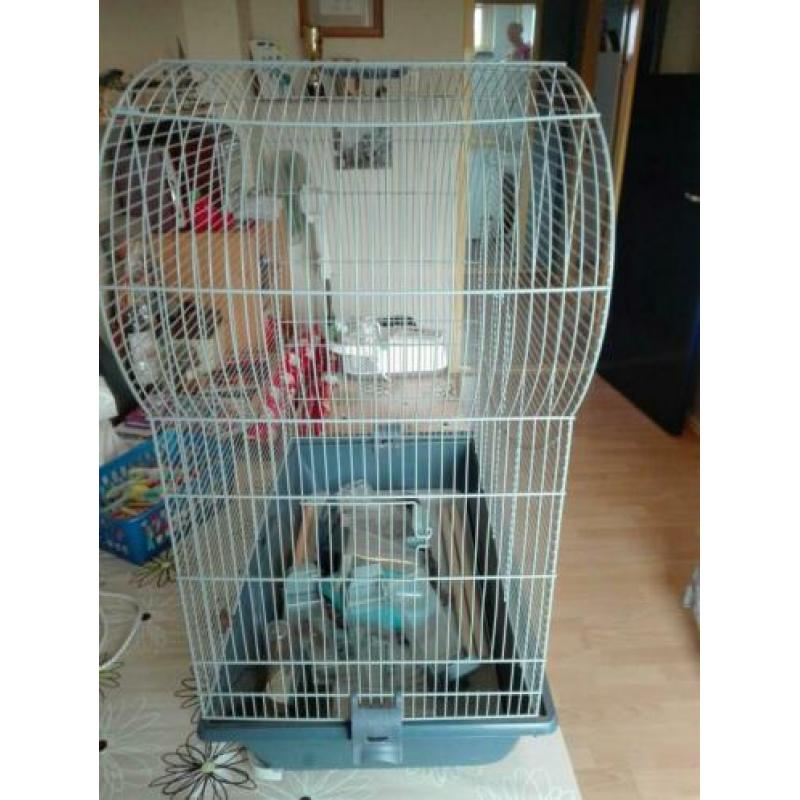 Vogelkooi met alles er bij