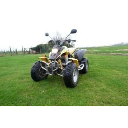 barossa Cheetah quad