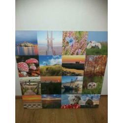 Foto collage Texel