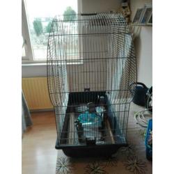 Vogelkooi met alles er bij